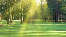Aero Charters and Bus Tours